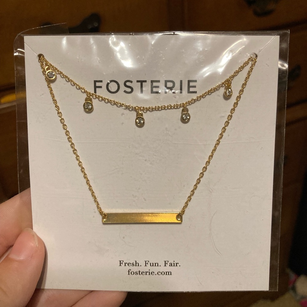 NWT Fosterie two strand Necklace
